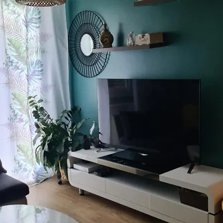 A&c Apartement 5mn Basel Airport * Saint-Louis (Haut-Rhin)