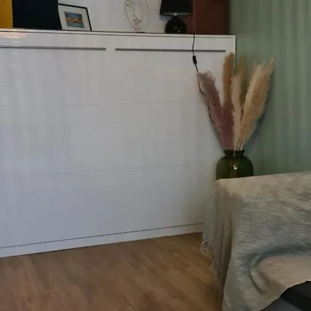 A&c Apartement 5mn Basel Airport 公寓 *