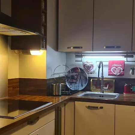 A&c Apartement 5mn Basel Airport 公寓 圣路易