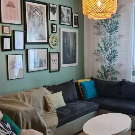 A&c Apartement 5mn Basel Airport * 圣路易